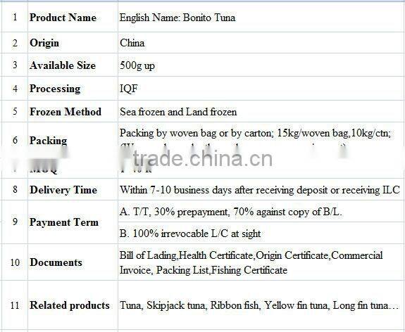 Frozen Bonito Tuna Fish