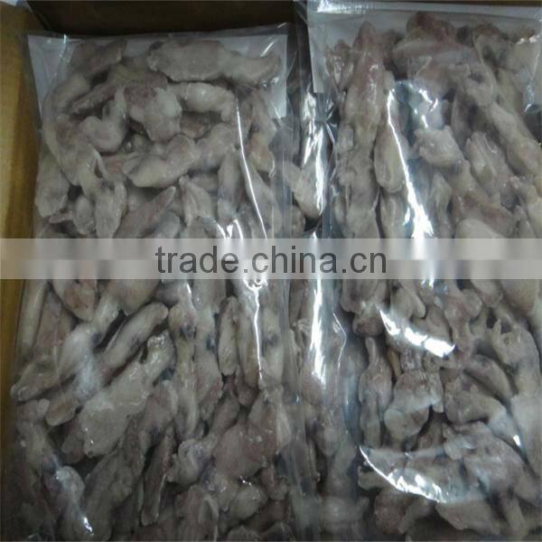 frozen squid for sale