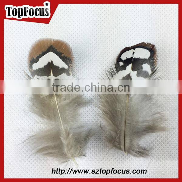 hot sale dyed Wholesale Natural cheap artificial pheasant feathers prices