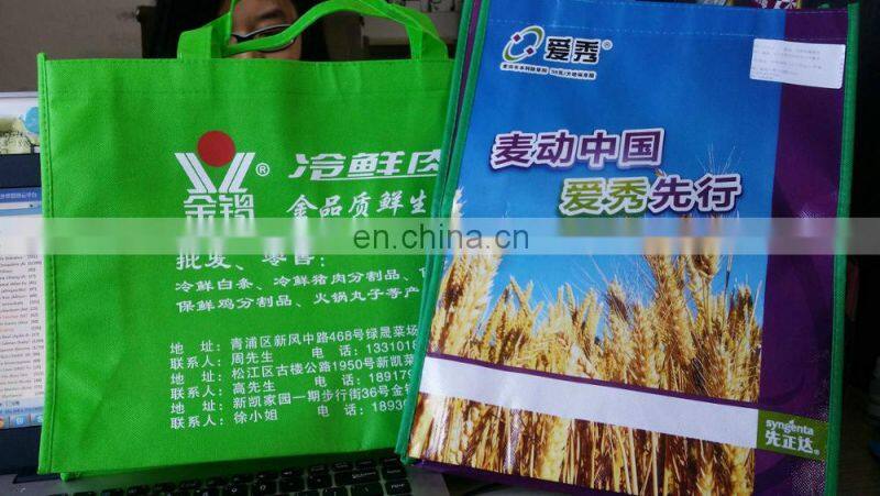 custom PP woven Eco-friendly shopping bags wholesale
