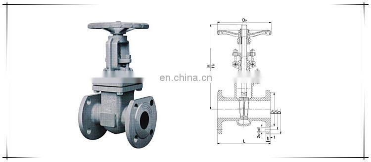Russian standard cast steel flange gate valve PN16 DN80