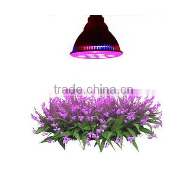 Christmas gift Led light manufacturing plant Light Low cost led growing Light