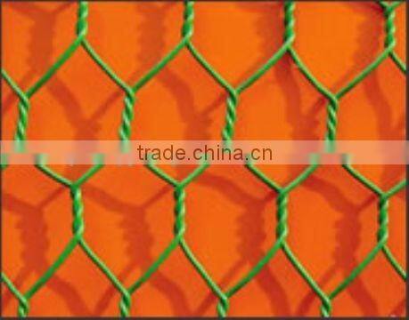 Hexagonal Wire Netting/Fecing High Quality