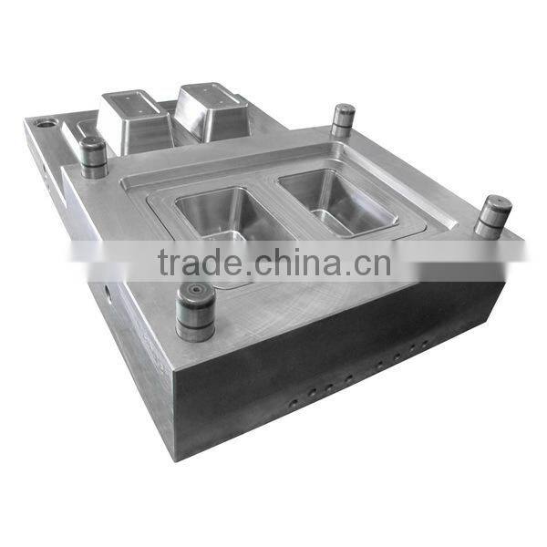 Professional plastic injection thin wall mold