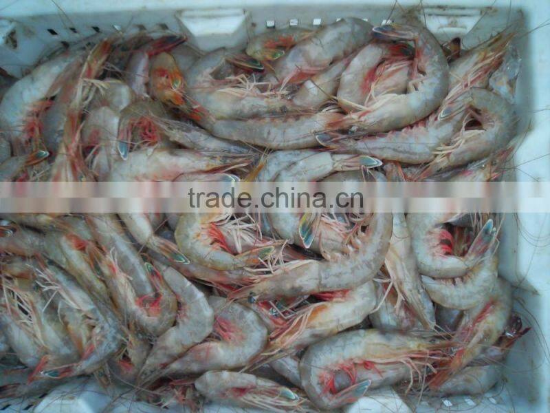 HL002 frozen shrimp and seafood mix wholesale