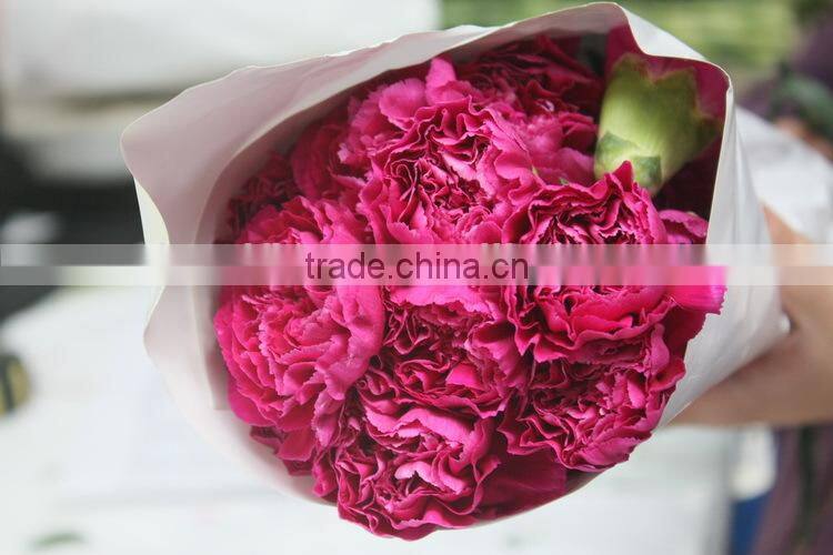 Various promotional flower arrangements fresh cut flower carnation