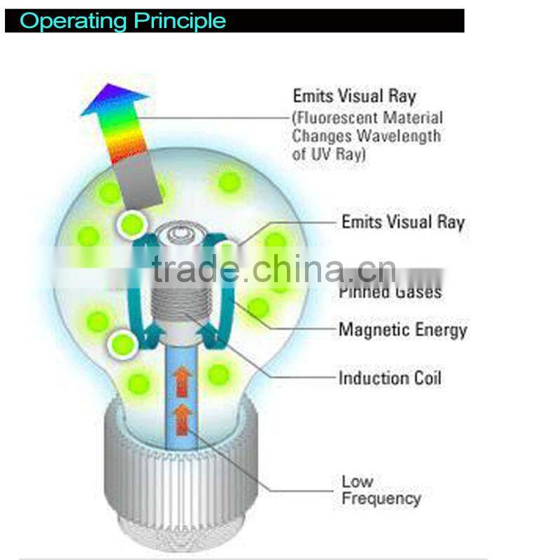 40W 2700K modern Self-ballasted induction Lamp