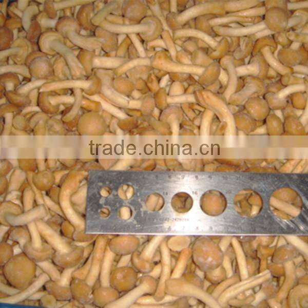 Price For Purchase Mameko Iqf 2015 Corp