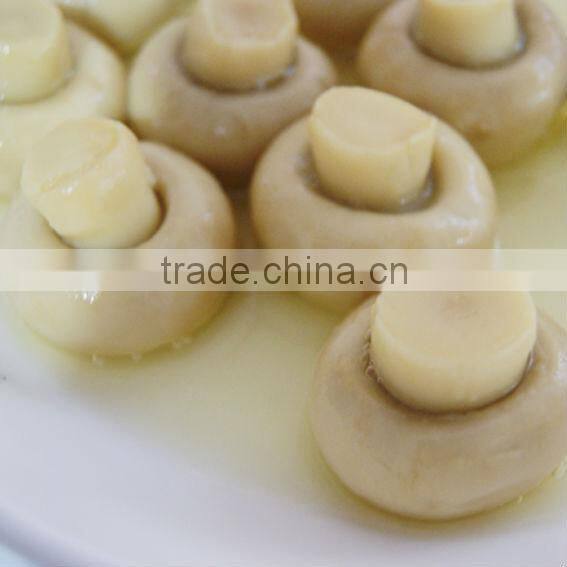 Canned Mushroom Pieces and Stems