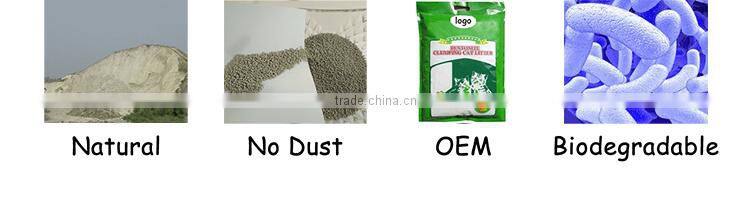 Organic Cat Sand