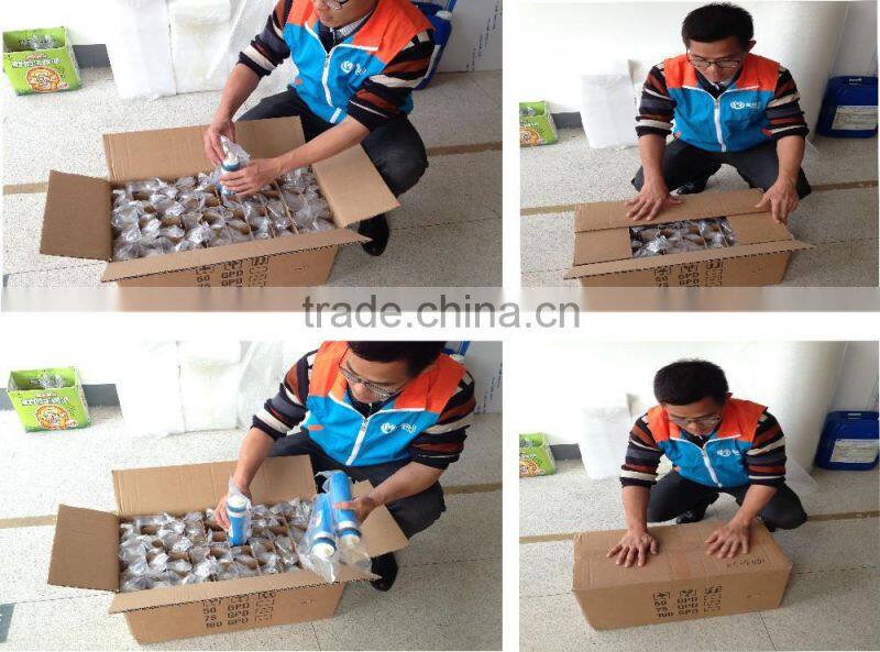 cheap price ro water filtration system 75GPD dow filmtec membranes