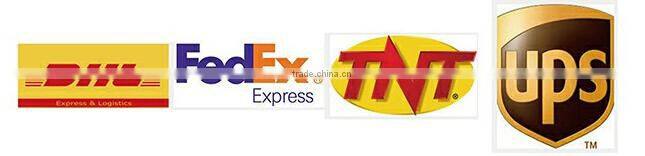 Hot sale indoor plant glass terrarium clear glass geometrical hanging terrarium-glass terrarium decorative plant holder