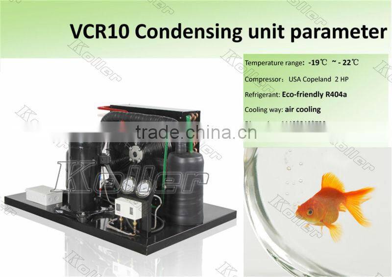 walk in Koller freezer cold room for fishery