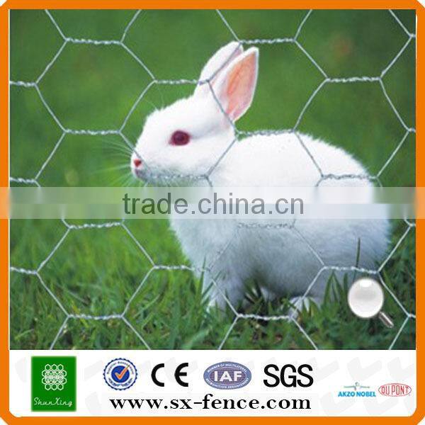 Galvanizedpvc coated chicken wire poultry mesh(ISO9001:2008 professional manufacturer)