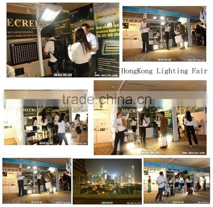 DLC CE Aluminium LED Light 500W LED Flood LIght
