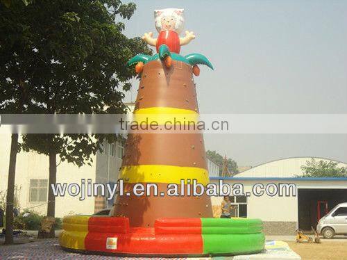 Kids rock backyard climbing wall