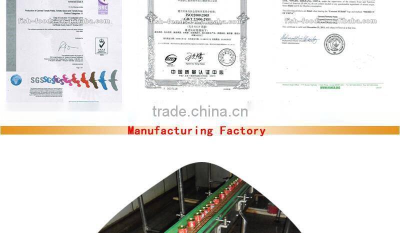 tomato paste manufacturer experienced for Nigeria market in 70gx50tins