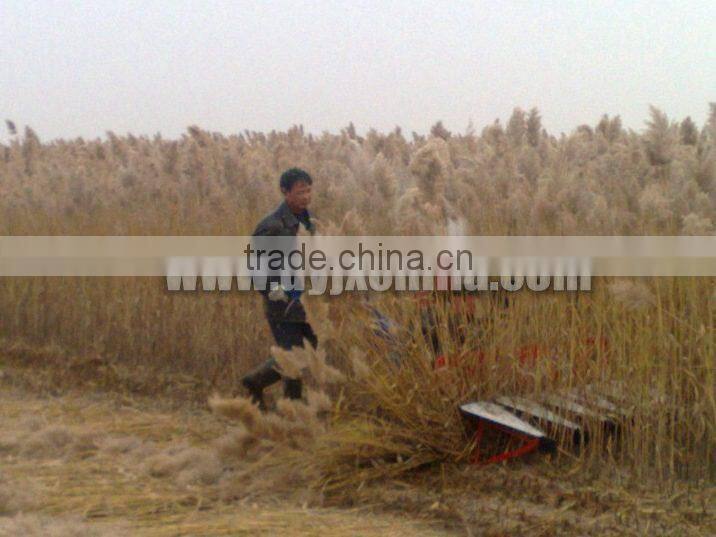 Whoelsale Harvester, Rice, Wheat, Soy Bean, Corn, Grain Harvester