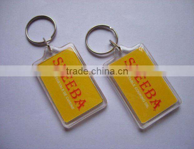 Mini picture key chain