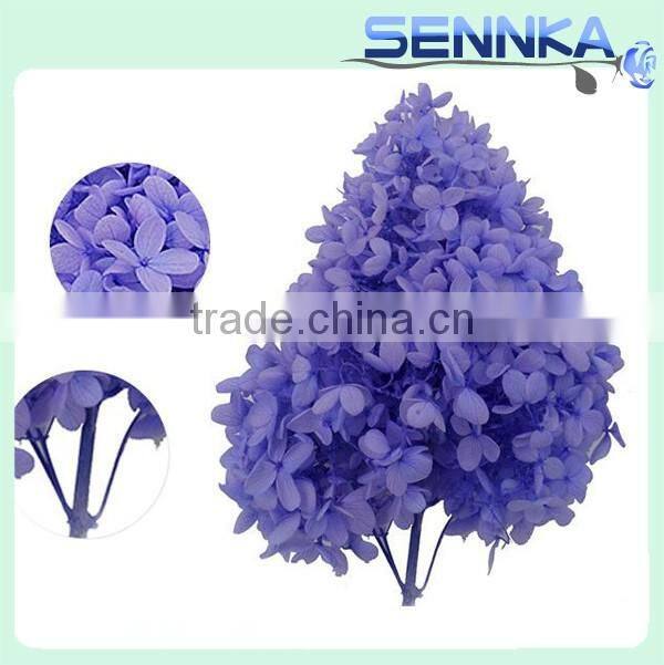 real natural purple color hydrangea preserved for flower arrangement