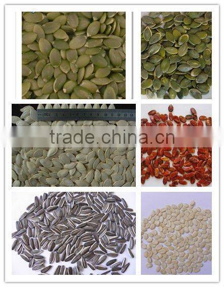 organic pumpkin seeds in shell