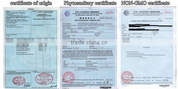 E08 Shengyuan No.2 f1 hybrid black eggplant seeds, 700 to 850grams in weight, round shape