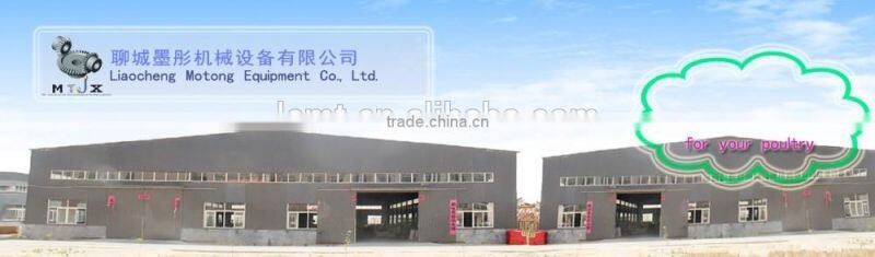 poultry farming Breeder chain feeding System new design