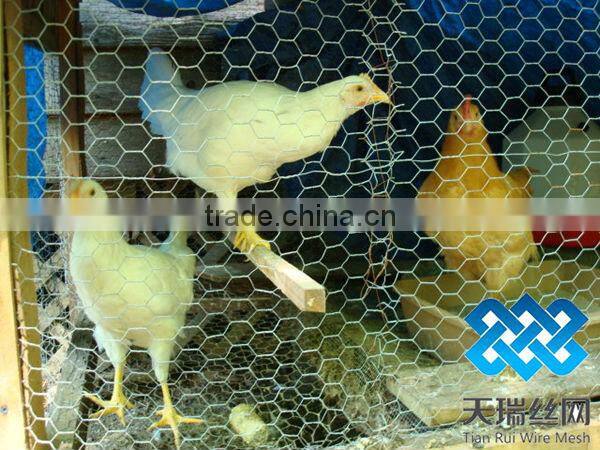 Chicken netting
