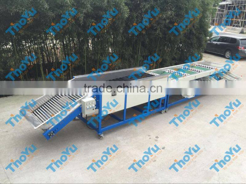 Salable Fresh Garlic Grading Machine 0086 15937167907