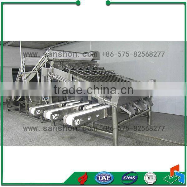 Seafood Processing Shrimp Grading Machine