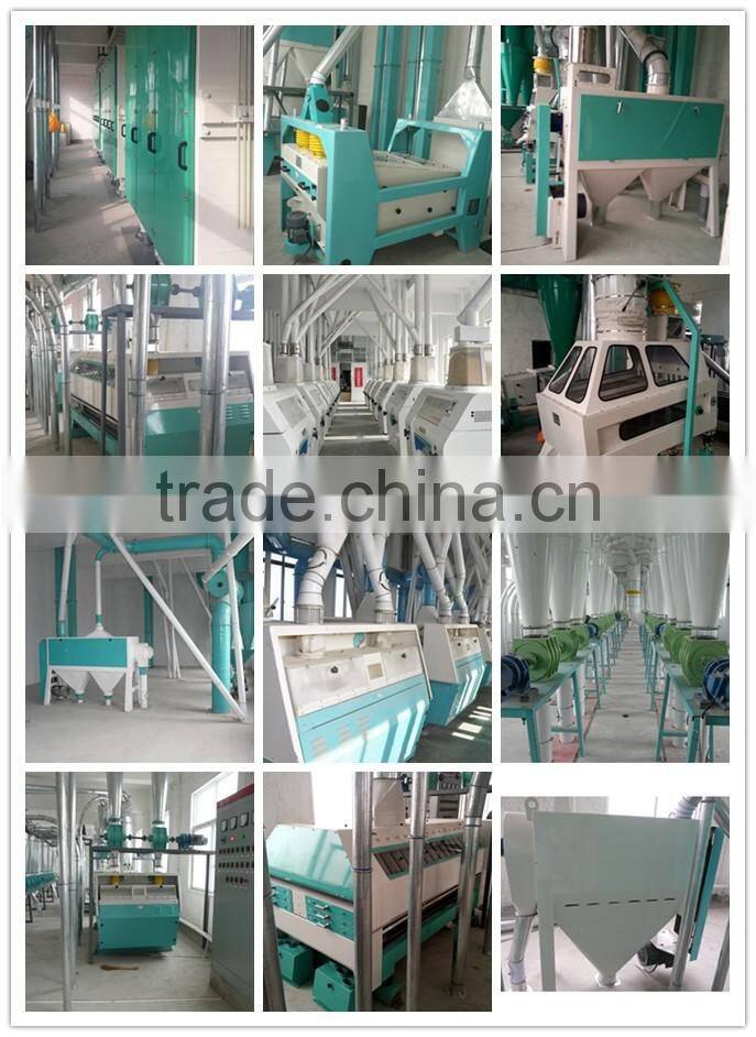 low price wheat flour mill machine /plant