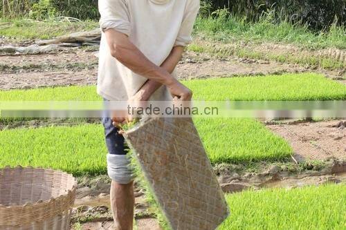 New arrival top sell low price economic propagator seed tray