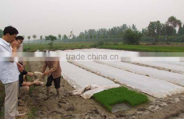 UV-stable pp nonwoven fabric for garden and agriculture cover