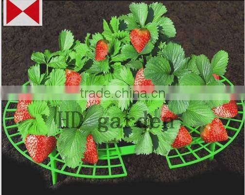 strawberry support
