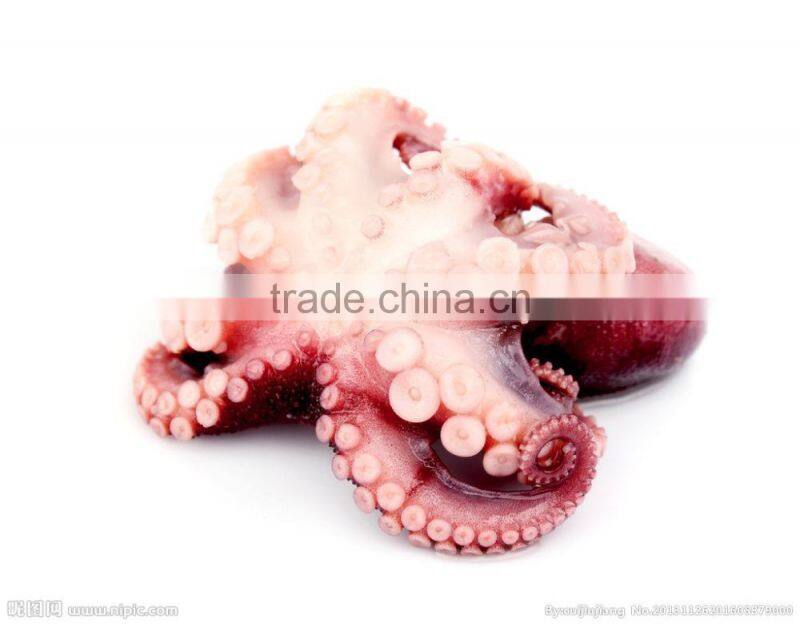 chinese sea wholesale health frozen octopus whole round