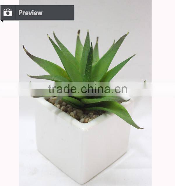 Artificial mini aloe little plants succulents plants artificial mini succulents