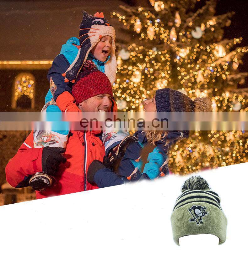 Custom Wholesale Design Fashion Winter Knitted Hat with pom pom