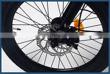 BEBHM20CM EU Hot Sale 20 Inch 36V 350W Elektrofahrrad Folding Electric Bike with Hidden Lithium Battery, E-bicycle