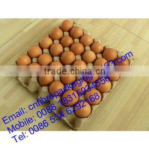 OEM Orders Eco-friendly molded paper pulp tray for beverage