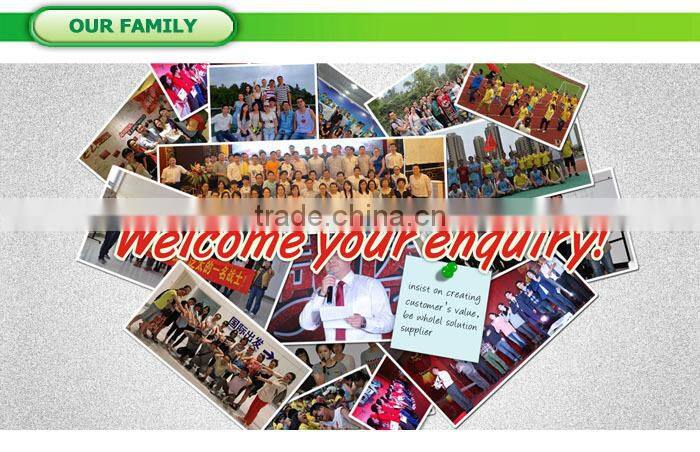 CE/GS Approval 4 Stroke 700 W Petrol 2in1 Brush Cutter /Grass Trimmer