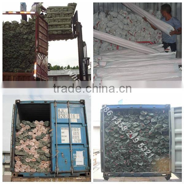 spain market 120 X 2.2cm varnished wooden handle