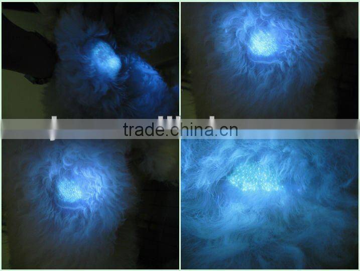 Animal Skin disease checking lamp