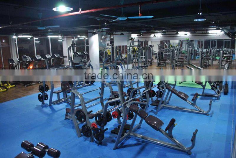 2016 popular /Lateral Raise /fitness equipment