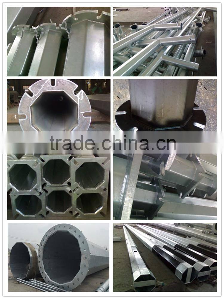 Antenna Telecommunication Steel Monopole Designed as Disguised Pine Tree