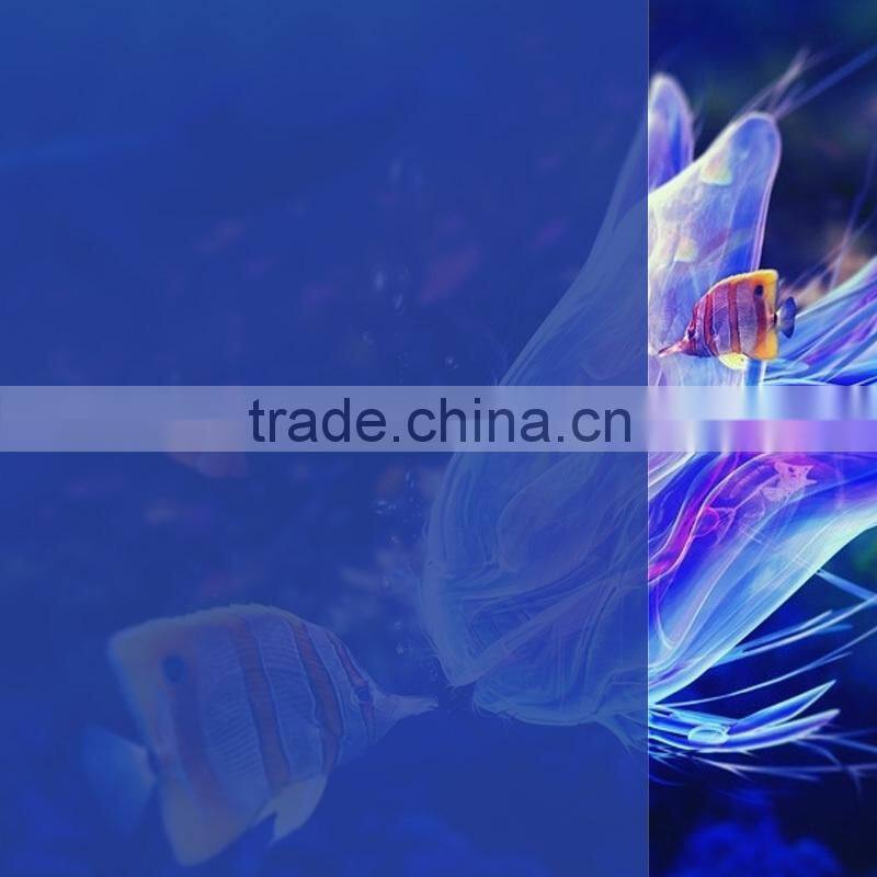 High Quality PET Window Bule Protective Film