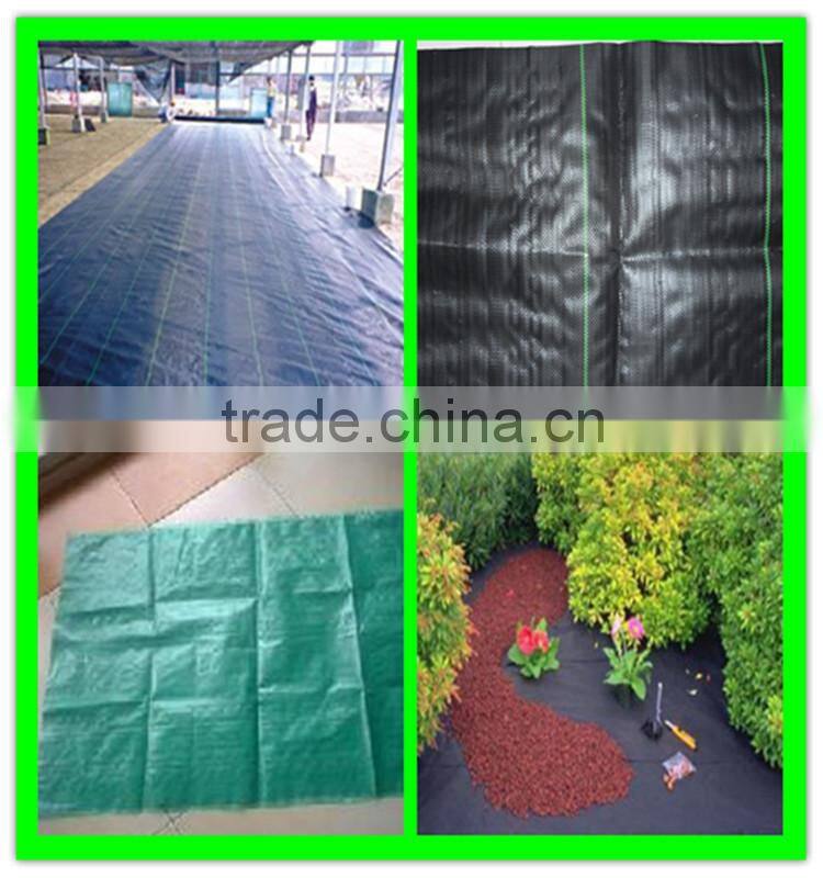 long lifetime PP weed barrier /black plastic ground cover/landscapde fabric