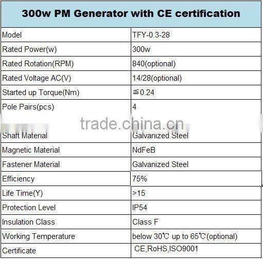 Hot sales 300w low speed generator 12v