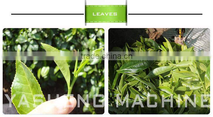 High Quality Tea Leaf Harvesting Machine for Sale
