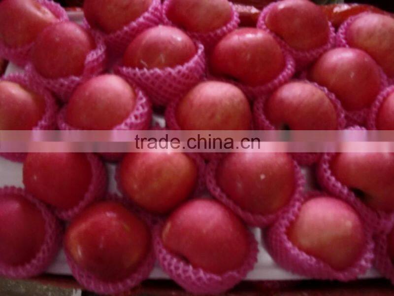red fuji apple fresh fuji apple fresh red apple prices