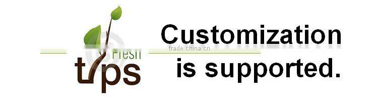 Custom Snow White And The Seven Dwarfs